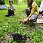 Osada Jelonki Wielka Puszcza Porabka