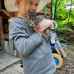Dom wakacyjny Osada Jelonki Wielka Puszcza