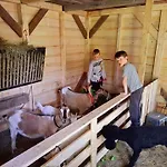 Osada Jelonki Wielka Puszcza Dom wakacyjny *