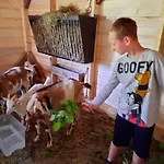 Dom wakacyjny Osada Jelonki Wielka Puszcza Porąbka