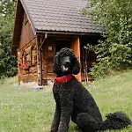 Holiday home Osada Jelonki Wielka Puszcza Porabka