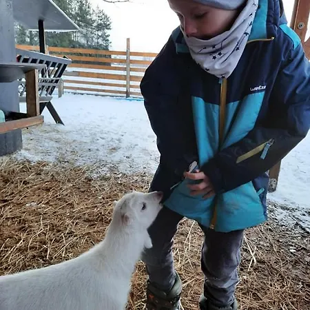 度假居 Osada Jelonki Wielka Puszcza Porąbka