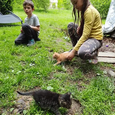 Osada Jelonki Wielka Puszcza Porąbka