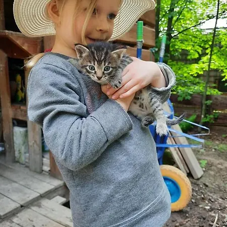 度假居 Osada Jelonki Wielka Puszcza