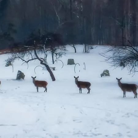Osada Jelonki Wielka Puszcza Porąbka