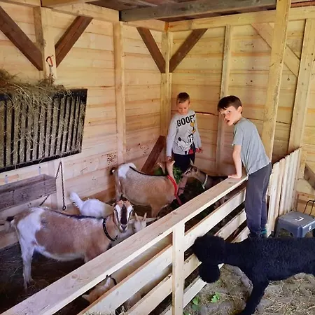 Osada Jelonki Wielka Puszcza Vakantiehuis *