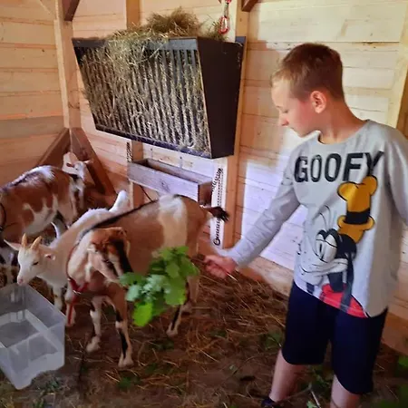 Vakantiehuis Osada Jelonki Wielka Puszcza Porąbka