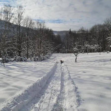 Osada Jelonki Wielka Puszcza *
