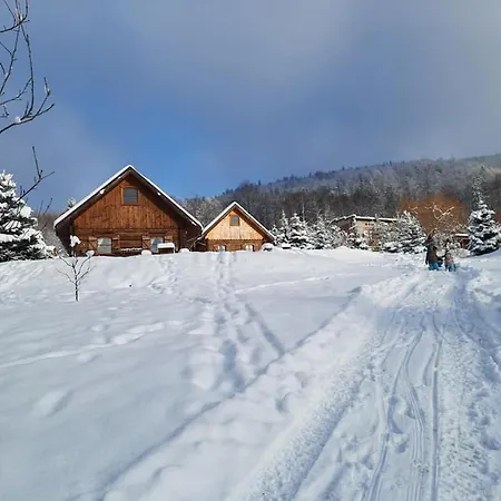 Osada Jelonki Wielka Puszcza 度假居 Porąbka