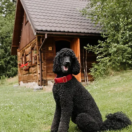 度假居 Osada Jelonki Wielka Puszcza Porąbka