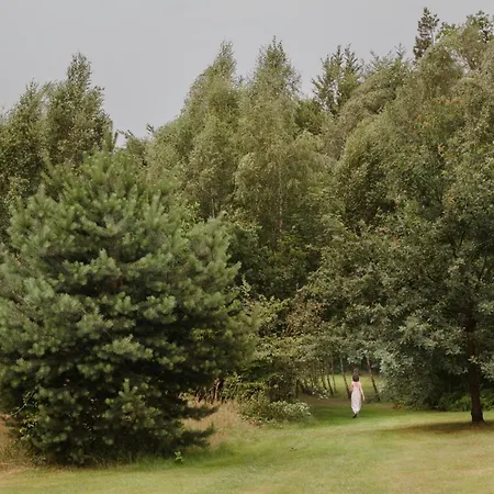 Osada Jelonki Wielka Puszcza 度假居