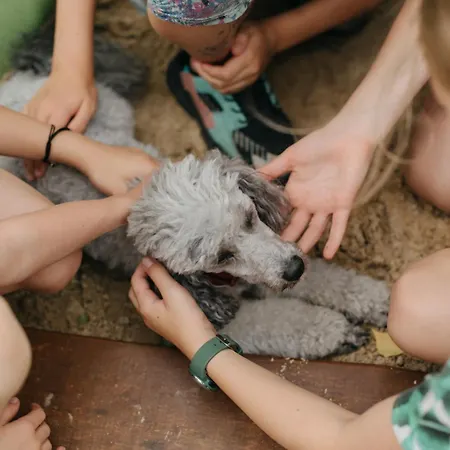 Prázdninový dům Osada Jelonki Wielka Puszcza