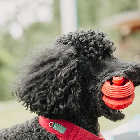 Osada Jelonki Wielka Puszcza Vakantiehuis *