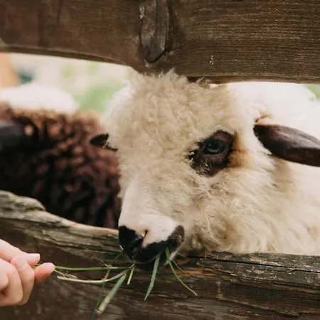 度假居 Osada Jelonki Wielka Puszcza *