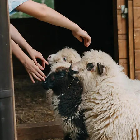 Osada Jelonki Wielka Puszcza 度假居 Porąbka