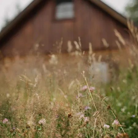 度假居 Osada Jelonki Wielka Puszcza *