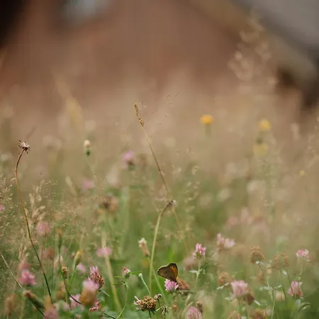 Osada Jelonki Wielka Puszcza Porąbka