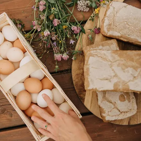 度假居 Osada Jelonki Wielka Puszcza *