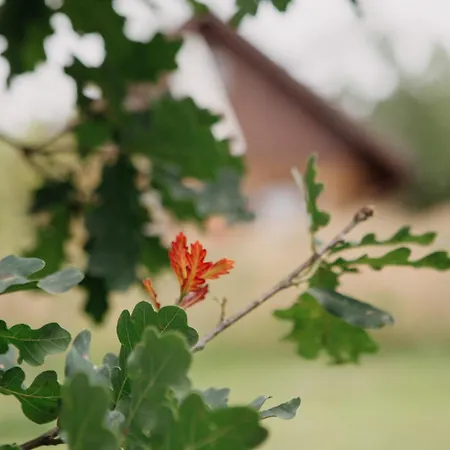 度假居 Osada Jelonki Wielka Puszcza Porąbka