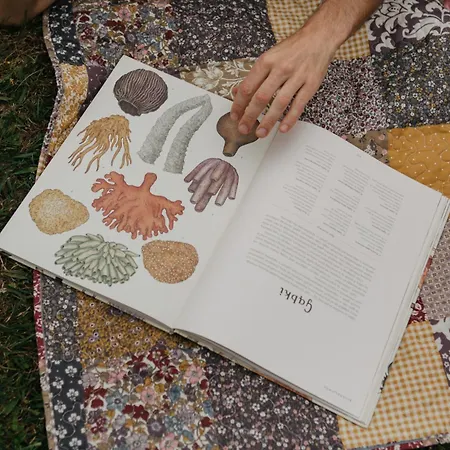 Osada Jelonki Wielka Puszcza Vakantiehuis Porąbka