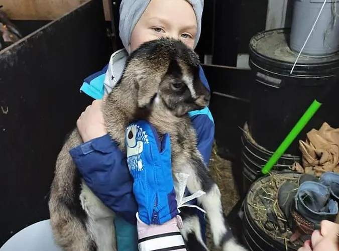 Prázdninový dům Osada Jelonki Wielka Puszcza *