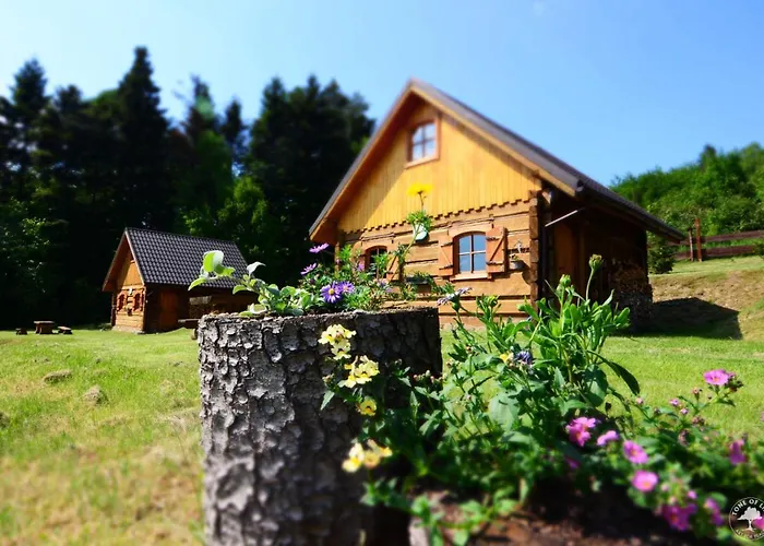 Osada Jelonki Wielka Puszcza Prázdninový dům Porąbka