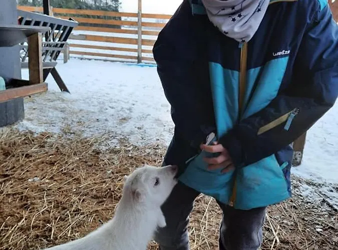 Σπίτι διακοπών Osada Jelonki Wielka Puszcza Porąbka