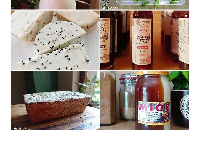 Osada Jelonki Wielka Puszcza Porąbka