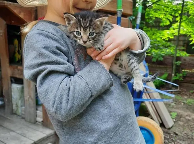 Prázdninový dům Osada Jelonki Wielka Puszcza