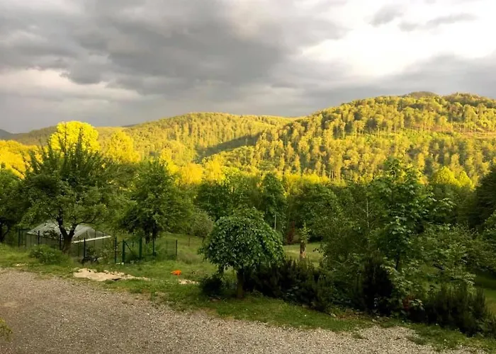 Osada Jelonki Wielka Puszcza *