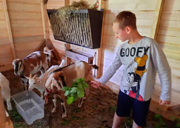 Prázdninový dům Osada Jelonki Wielka Puszcza Porąbka