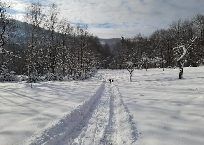 Osada Jelonki Wielka Puszcza *