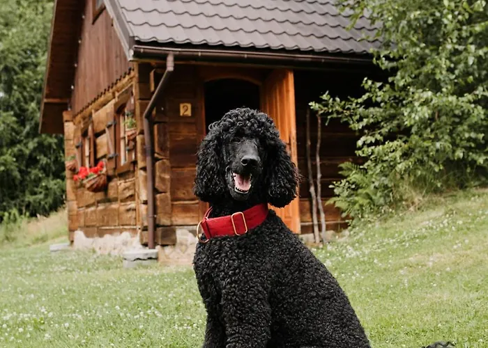 Prázdninový dům Osada Jelonki Wielka Puszcza Porąbka