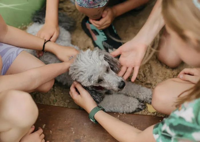 Prázdninový dům Osada Jelonki Wielka Puszcza