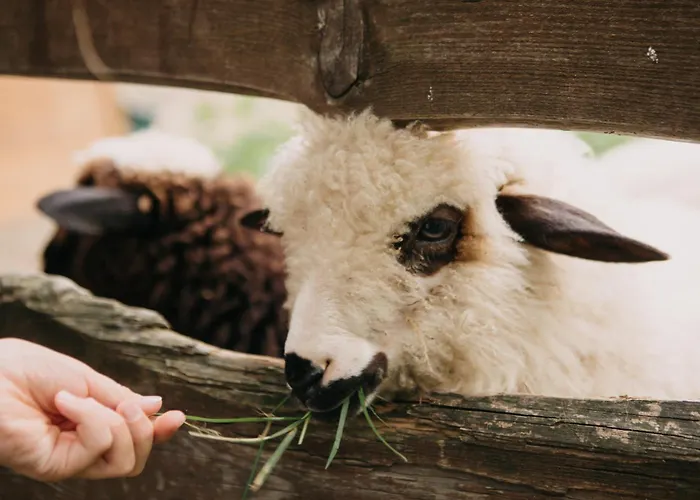 Σπίτι διακοπών Osada Jelonki Wielka Puszcza *