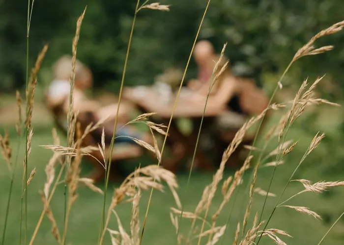 Σπίτι διακοπών Osada Jelonki Wielka Puszcza