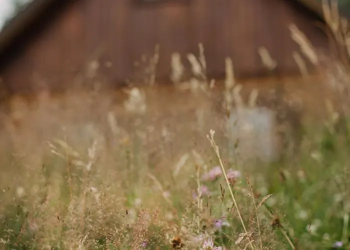 Prázdninový dům Osada Jelonki Wielka Puszcza *