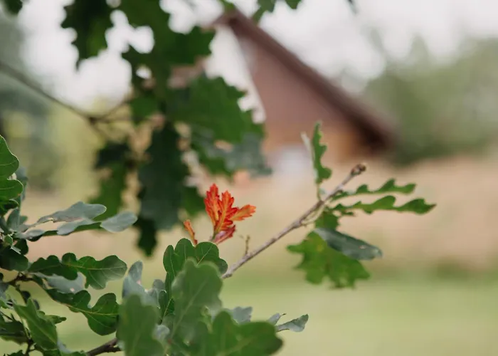 Prázdninový dům Osada Jelonki Wielka Puszcza Porąbka