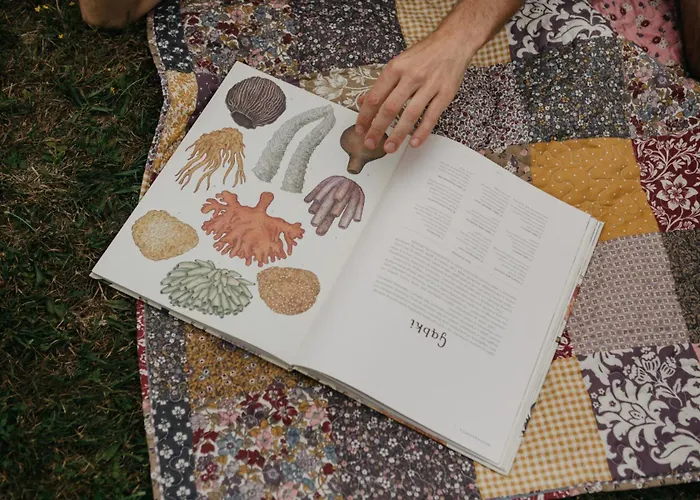 Osada Jelonki Wielka Puszcza Prázdninový dům Porąbka